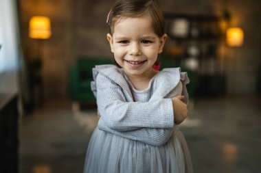 portrait of small caucasian girl two years old toddler at home
