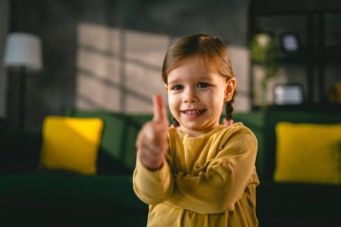 portrait of small caucasian girl two years old toddler at home