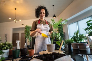 Yetişkin bir kadın, beyaz kadın bahçıvan ya da çiçekçi ev bahçesinde çiçek yetiştirip, saksıya uzay nakli yapıyor.