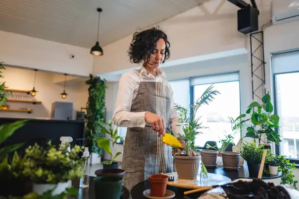 Yetişkin bir kadın, beyaz kadın bahçıvan ya da çiçekçi ev bahçesinde çiçek yetiştirip, saksıya uzay nakli yapıyor.