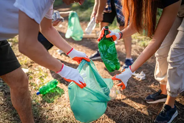 hands of group of friends gen Z male and female caucasian picking up waste garbage plastic bottles and paper from the forest cleaning up nature in sunny day environmental care ecology concept