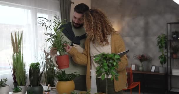 Pareja Caucásico Hombre Mujer Esposa Marido Plantando Flores Juntos Teniendo — Vídeos de Stock