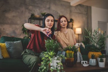 Kafkasyalı iki kadın arkadaş ya da kız kardeş birlikte çiçek dikerler ev bitkileriyle ilgilenirler gerçek insanlar aile kavramı