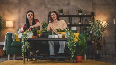 Kafkasyalı iki kadın arkadaş ya da kız kardeş birlikte çiçek dikerler ev bitkileriyle ilgilenirler gerçek insanlar aile kavramı