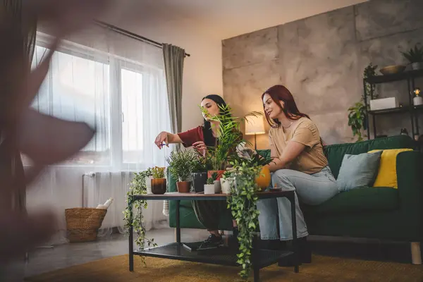 二人の女性 慎重な友人や姉妹は一緒に家の植物の世話をする花を植えます 本当の人々 家庭生活の家族の概念 — ストック写真