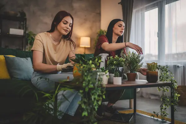 Two Women Caucasian Friends Sisters Plant Flowers Together Taking Care — Stock Photo, Image