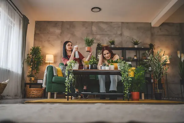Deux Femmes Caucasiennes Amis Sœurs Plantent Des Fleurs Ensemble Prenant — Photo