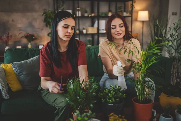 Zwei Kaukasische Freundinnen Oder Schwestern Pflanzen Gemeinsam Blumen Und Kümmern — Stockfoto
