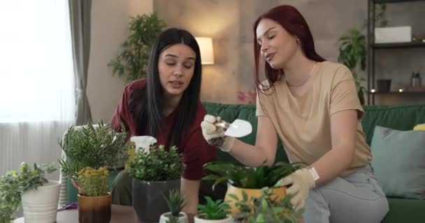 Két Kaukázusi Barátok Vagy Nővérek Növény Virágok Együtt Gondoskodás Otthoni — Stock videók