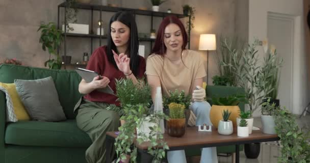 Dwie Kobiety Kaukaskie Przyjaciele Lub Siostry Sadzić Kwiaty Razem Dbanie — Wideo stockowe