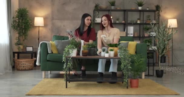 Dua Perempuan Kaukasia Teman Teman Atau Saudara Menanam Bunga Bersama — Stok Video