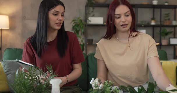 两个高加索女人的朋友或姐妹一起种花照顾家庭植物真正的人家庭生活家庭观念 — 图库视频影像