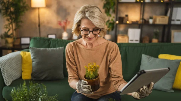Kvinna Florist Hand Odla Växter Hemmet Hålla Digitala Tablett Sökning — Stockfoto
