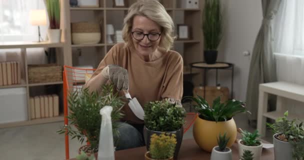 Uma Florista Mulher Cuidar Cultivar Plantas Casa Câmera Lenta — Vídeo de Stock
