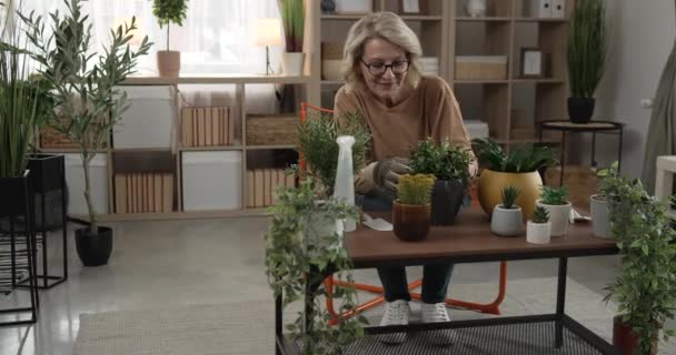Een Vrouw Bloemist Zorg Nemen Groeien Planten Thuis Slow Motion — Stockvideo