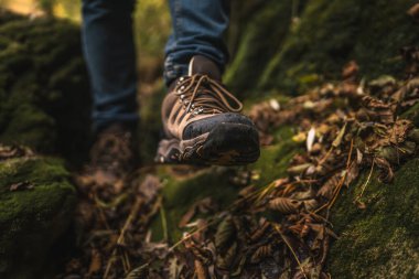 Botun kapağı yeşillik ormanına iniyor.
