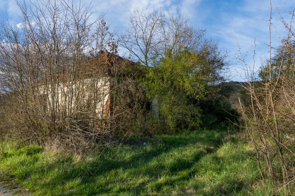 Stock image A very old abandoned building overgrown with weeds and bushes, barely visible, seen in early spring when there are no leaves on the branches