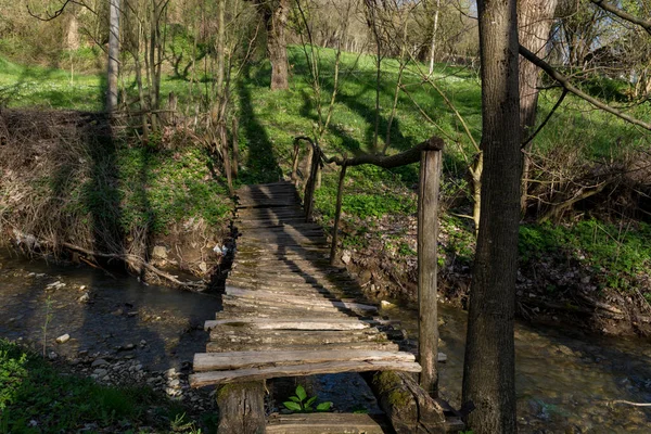 Old Small Wooden Pedestrian Bridge Which Small River Passes Forest — Stock Photo, Image