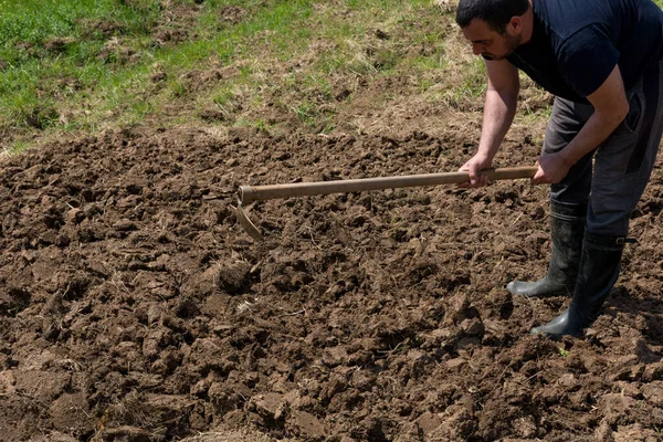 Man Hoeing Soil His Garden Prepare Vegetable Planting Sunny Spring — Stock Photo, Image