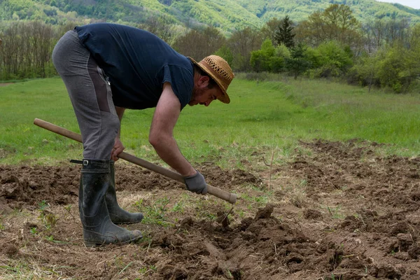Agricultor Con Una Azada Está Haciendo Filas Agujero Campo Preparándolos —  Fotos de Stock