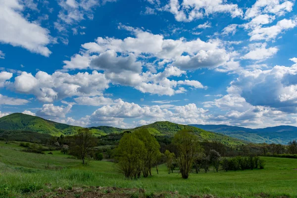 美丽的自然景观 绿色的小山沐浴在阳光和茂密的草地上 春天的一天 美丽的白色蓬松的云朵点缀着天空 — 图库照片