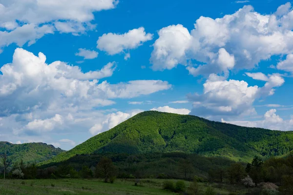 一座绿色的大山丘 金字塔形的森林被太阳照亮 春日的蓝天里 白云飘扬 — 图库照片