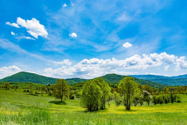 美丽的全景 绿草如茵 背景是群山 春日是蓝天 白云密布 自然背景概念 — 图库照片