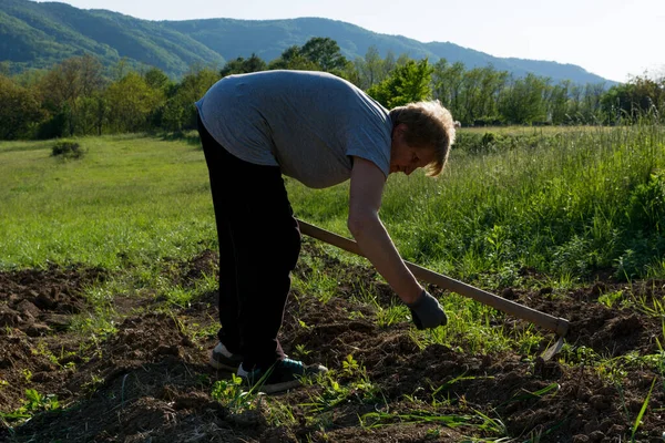 春天的一天 在乡下 女人用锄头在田里锄草 农业概念 — 图库照片