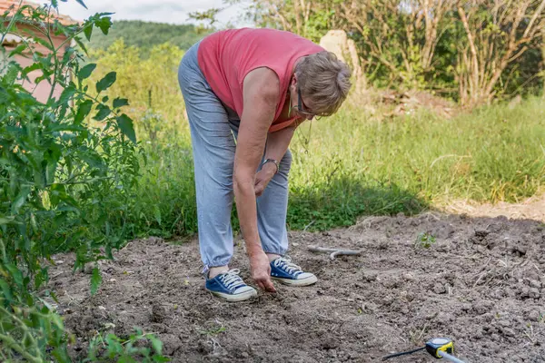 Female Farmer Sows Spinach Seeds Her Rural Garden Sunny Summer — Stock Photo, Image
