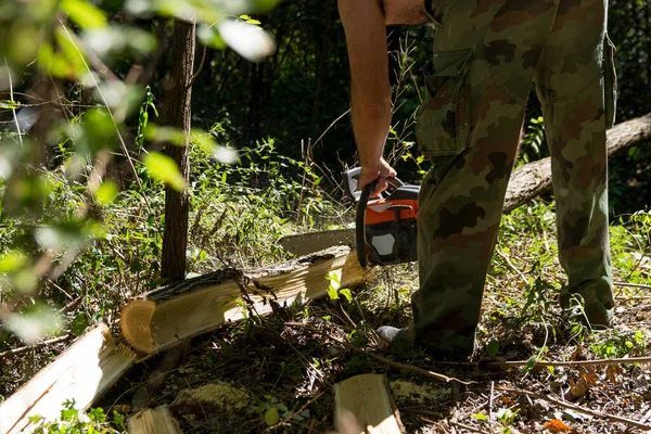 Güneşli bir yaz gününde sık bir ormanda odun kesmek için elektrikli testere kullanan bir oduncunun yakın çekimi. Kamuflaj pantolonu giyiyor. Yakacak odun hazırlama kavramı