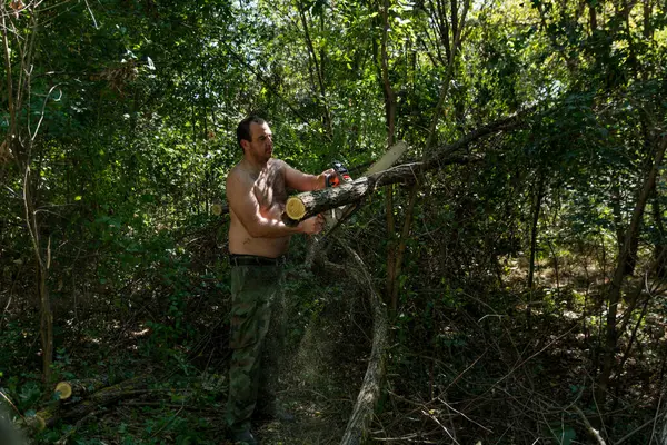 Young Lumberjack Cuts Fallen Branch Forest Hot Summer Day Uses Stock Picture