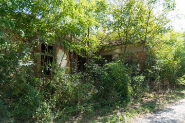 Yoğun bitki örtüsü ve ağaçlarla kaplanmış harabeler içindeki son derece eski bir bina. Bu da onu tanınmaz hale getiriyor. Zamanın etkisinde çürüdüğü aşikar. Güneşli bir yaz günü.