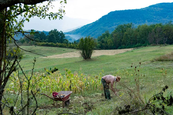 Vidéki Táj Mezőkkel Művelt Földekkel Egy Farmer Meleg Nyári Nap — Stock Fotó
