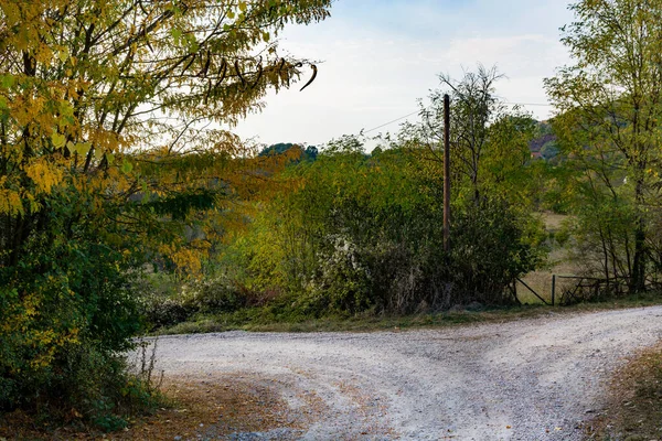 Intersection Gravel Roads Village Surrounded Beautiful Trees Bushes Adorned Golden — Stock Photo, Image