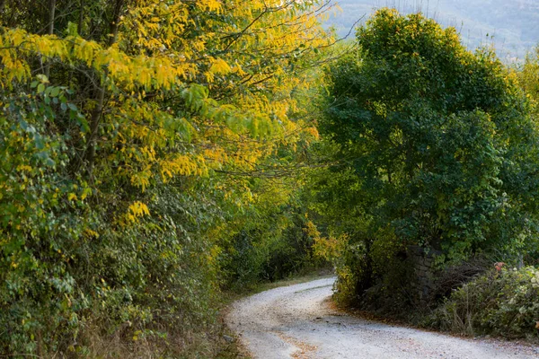 Gravel Road Passing Village Lined Trees Bushes Gloomy Autumn Day Stock Photo