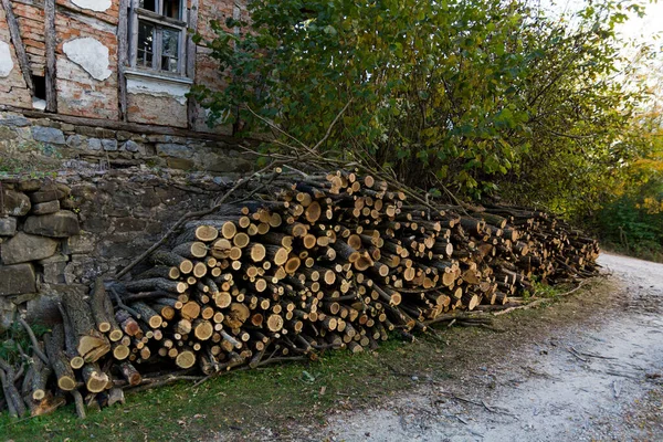 Cut Locust Wood Logs Neatly Arranged One Other Village Road — Stock Photo, Image