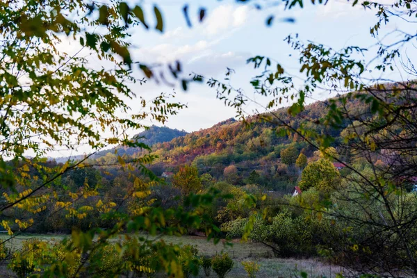 Hill Covered Dense Forest Partially Illuminated Setting Autumn Sun Village — Stock Photo, Image