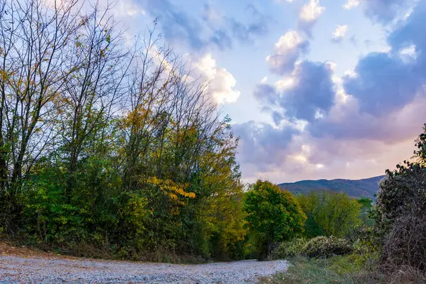 Autumnal Gravel Country Road Sunset Adorned Colorful Clouds Sky Alongside — Stock Photo, Image