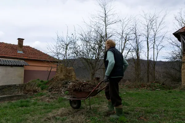 Female Farmer Pushing Old Red Metal Wheelbarrow Full Dry Leaves — Stock Photo, Image