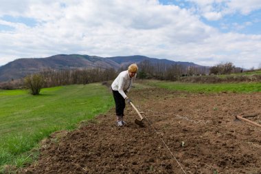 Dişi bir çiftçi, bir çapa ile tarlada bir çukur açar, ipin düz olduğundan emin olmak için, bir bahar günü tarlayı sebze ekmeye hazırlama kavramını somutlaştırır.