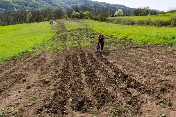 Naismaanviljelijä Joka Käyttää Kuokkaa Peittämään Rivejä Joissa Perunansiemenet Istutettu Aurinkoisena kuvapankkikuva