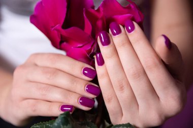 Stüdyoda arka planda çiçek olan genç kadın ellerinde güzel mor bir manikür. Kadınlık ve manikür kavramı