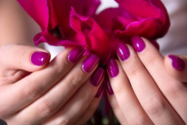 Arka planda çiçek ve mor ojeli kadın parmaklarının yakın çekimi. Manikür ve kadınsı güzellik kavramı