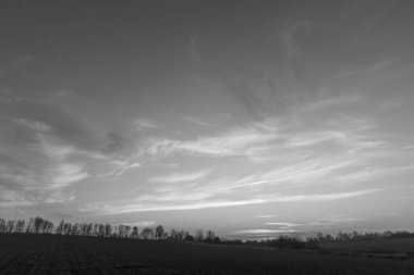 Kara ufkun siyah beyaz manzarası ve birçok bulut