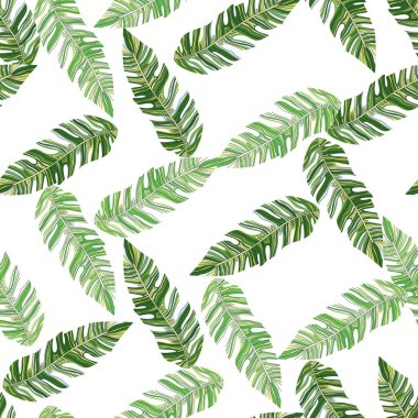 Graphic exotic plant foliage seamless pattern. Tropical pattern, palm leaves seamless floral background. Leaf wallpaper. Nature wallpaper. For fabric design, textile print, wrapping, cover