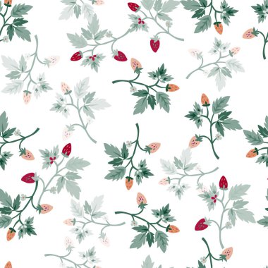 Wild strawberry seamless pattern. Wild berries floral wallpaper. Strawberry plant endless backdrop. Design for fabric, textile print, wrapping paper, cover. Vector illustration