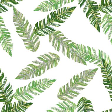 Graphic exotic plant foliage seamless pattern. Tropical pattern, palm leaves seamless floral background. Leaf wallpaper. Nature wallpaper. For fabric design, textile print, wrapping, cover