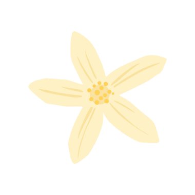 Coffee flower flat icon isolated on white background. Vector illustration