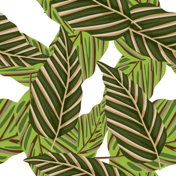 장식적 야자나무는 솔기없는 무늬를 남긴다 나뭇잎 식물학적 반사체는 꽃무늬가 디자인 — 스톡 벡터