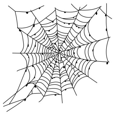 Scary spider web isolated. Spooky Halloween decoration. Outline cobweb vector illustration. Decorative element for your design clipart